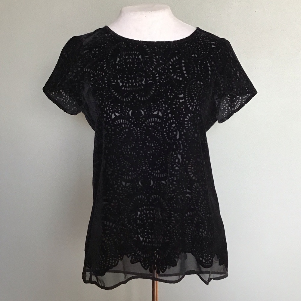 Loft Velvet Burnout Black Short Sleeve Pullover Top XS